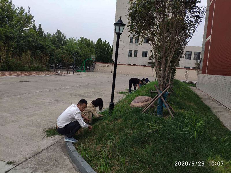 河南9游官网游戏中心有限公司总部除草活动